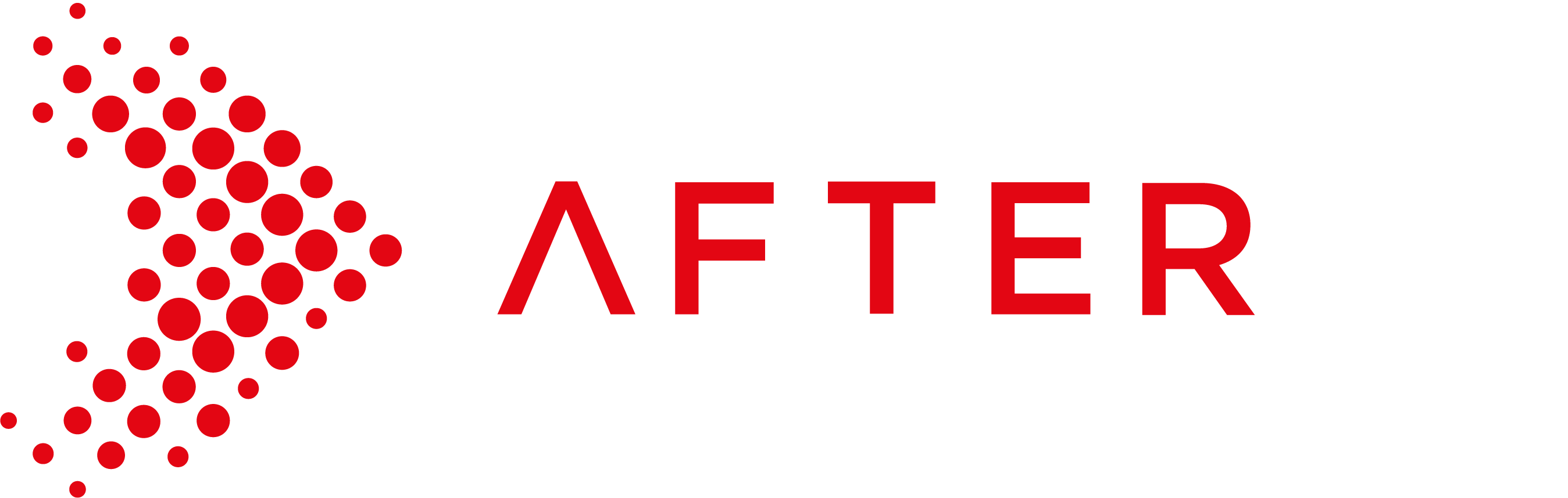 the after project logo
